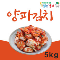 해남 화원농협 양파김치 3kg 이맑은김치