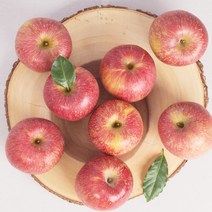 아침햇살 사과 2.5kg 4kg 가정용 기스과/홍로품종, 9kg, 10_9kg(가정용)(28~38과)-대과-기스과