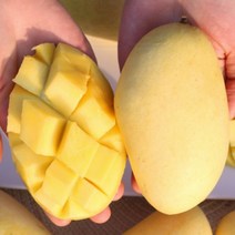 태국 남독마이 망고 골드망고 2.5kg 선물 세트 보자기포함 (항공), 상세페이지 참조