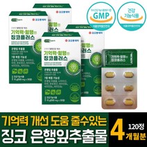 징코빌로바 은행잎추출물 기억력 손발저림 혈액순환제 혈행개선 산화아연 판토텐산 영양제 추천 60정 2개
