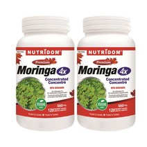 (2병) 캐나다 뉴트리돔 모링가 잎 4배 농축 120캡슐 분말 MORINGA OLEIFERA 모닝가 모린가 | 캐나다 직구 by 카포리아