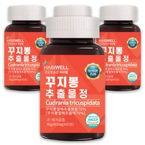 하비웰 꾸지뽕 추출물정 600mg X 60정, 4통