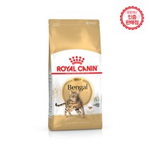 로얄캐닌 뱅갈 어덜트 10kg 애묘사료, 1개