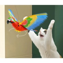 독수리장난감 움직이는 독수리 앵무새 고양이장난감 비둘기퇴치, 앵무새 parrot