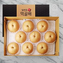 웰굿 [웰굿]남양주 명품 먹골배 선물세트(7.5kg10-12과중-대과), 1
