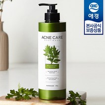 샤워메이트 사철쑥 아크네케어 바디워시 500g x1개, 1개