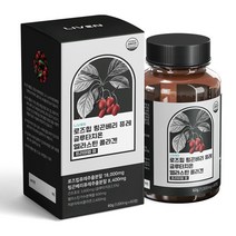 라이븐 로즈힙 링곤베리 퓨레 글루타치온 엘라스틴 콜라겐 프리미엄 1000mg 60정, 1통