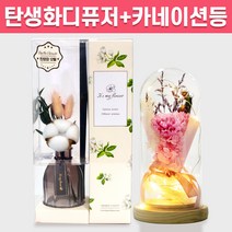 탄생화 디퓨저 선물 세트 12월 탄생화 목화 + 카네이션 무드등 선생님 부모님 어버이날 엄마 장모님 생신선물 프리저브드 플라워 생화 실내 디퓨저 실내 방향제 디퓨져, 이슬꽃, 핑크, 120ML