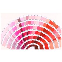 국제 표준 범용 색상표 컬러 가이드 차트 pantone pantone color card pms color card printing 페인트 페인트 카드 2161 color