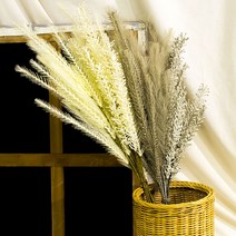 둔떼 파스텔팜파스 4c 핑크갈대 핑크뮬리 프리저브드플라워, 핑크 5P