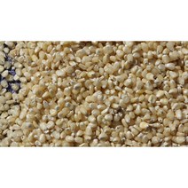 산지직송 정선 고랭지 햇옥수수 찰옥수수알(뻥튀기용) 1kg
