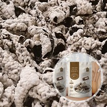 모을곳간 철원고향찹쌀 수제김부각 30g*5, 불닭맛5봉