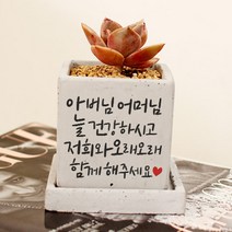 부모님 할머니 할아버지 선생님 선물 캘리그라피 미니 컬러 화분 - 오래오래 함께해주세요, 와이드화분(+18000원), 화이트, 뒷면인쇄선택(+5000)