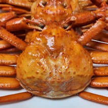연지홍게 포항 구룡포 홍게 자숙 프리미엄 3kg, 상세페이지 참조, 본상품선택