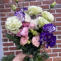 [꽃 마실] (특상) 혼합 리시안셔스 꽃 다발, 혼합색상