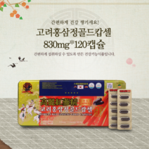 6년근 홍삼캡슐 고려홍삼정골드 120캡슐 골드캅셀, 본상품선택