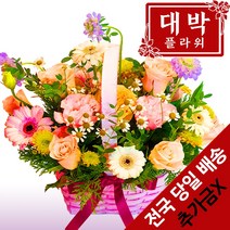 대박플라워 아기자기 꽃바구니 생일선물 기념일 출산꽃선물 병문안 꽃배달