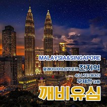 깨비유심 코타키나발루 말레이시아 전지역 4G LTE 데이터 8일 이용 유심 출국전 불량 유심 확인 가능 (4362497), 대구 공항수령