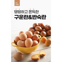 [스타]구운란 HACCP인증 구운계란 20구, 1판