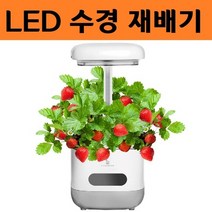 에코박스 LED 수경재배기 식물 등 전구 조명 생장 성장 램프 전등 다육이 고추