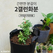 부직포 화분 식물 고구마 모종 키우기 2갤런 20x20 블루베리 고구마 감자 모종 키우기 베란다 텃밭 흙 담기 화분, 1화분2갤런-블랙