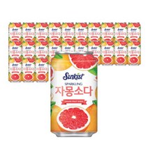 썬키스트 스파클링 자몽소다 355ml 24개