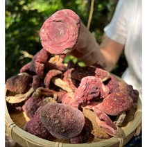 정통 부티크 운남 야생 붉은 버섯 건조 제품 100g, 250g