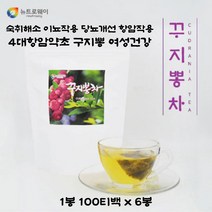 산신령이 먹는 자연의선물 꾸지뽕차 4대항암약초 100티백 6봉, 100g, 6개, 100개입