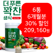 더푸른 동결건조 생식가루 든든한 한끼 아침대용 선식쉐이크 식사대용선식 6통 40%, 900g, 6개