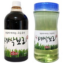 홍치마 대용량 목넘김좋은 유기농 새싹보리차 농축 새싹보리 원액 액상 1000ml 다홍치마, 1개입, 1개