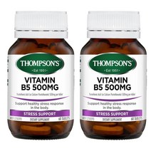 호주 톰슨 Thompsons Vitamin B5 비타민B5 판토텐산 500mg 60정
