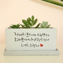 자세히 보아야 예쁘다 - 감성 문구 캘리그라피 화분, 와이드화분(+18000원), 그레이, 뒷면인쇄선택(+5000)