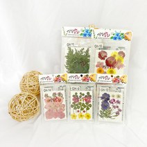 td 토단 취미키트 압화(누름꽃) 모음전1 편지지액자책갈피, GH-7