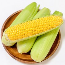23년 첫출하 무려 20brix 단맛 초당옥수수, 껍질없는 초당옥수수 초미니 5cm 10개, 5개
