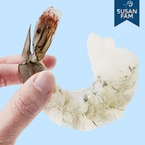 생 칵테일새우 1kg(실중량900g) 깐 새우살 탈각 특품 특대 감바스용, 21-25 페루산 가성비