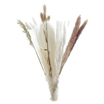 HAIMINGJUN 30x 말린 잔디 무리 phragmites 갈대 꽃 꽃 공예 꽃꽂이 선물 거실 꽃병 결혼식 생일, 44.7cmx7cmx7cm, 말린 꽃, 스타일 D