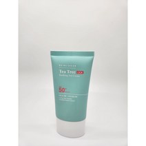 [징크100/비건] 브링그린 티트리시카수딩선크림 50ml 무기자차