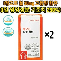 닥터루템 헤모어 락토 철분 임산부 영양제 비동물성 비헴철 철분 사용 1정에 1일 영양성분 기준치 250%함유, 2개(4개월분)