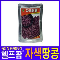 헬프팜 자색땅콩 50립 씨앗 성우종묘 종자