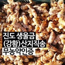 진도장모와서울큰사위 진도 생울금(강황) 무농약 인증 원물 청 담금주 생 차 22년 11월 갓수학 산지직송, 1개, 10kg