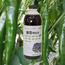 자연미가 청양고추 효소액 1000mlx1병 /ss 자연숙성 발효액100%, 1000ml x1병, 1개