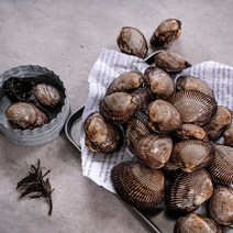 남해안 새꼬막 참꼬막 피꼬막 피조개 1kg 2kg 꼬막비빔밥 꼬막무침, 피조개 2kg