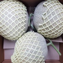 국내산 전남곡성 멜론 머스크메론 8kg 중과 과일선물세트