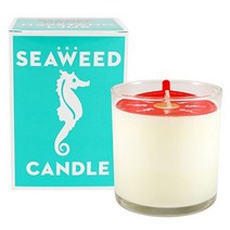 Swedish Dream Seaweed Candle null, 1, Green