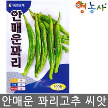 안매운 꽈리고추씨앗 100립, 단품