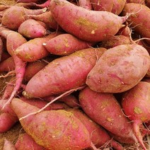 해남 꿀 밤 고구마 햇 10kg 5kg 3kg 못난이 한입, 대 10kg, 1개