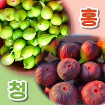 [백화점 납품] 영암 신안 산지직송 제철과일 생 무화과 홍무화과 청무화과 1kg 2kg, 1개, 1-1) 홍무화과 1kg