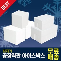 제이제이컴퍼니 스티로폼박스 낱개 다양한 사이즈, 피자박스, 1개