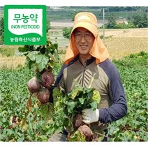 레드비트 해남 유기농 무농약 2kg 3kg 5kg 10kg