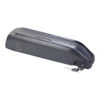 전기자전거배터리 충전기 릴리스가 있는 전기 자전거 250W 10AH 15AH 500W